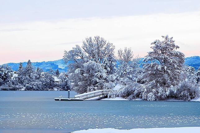 Bild 21: Das kommt so bald nicht wieder: Neue Bilder aus dem Winterwunderland rund um Überlingen und Salem