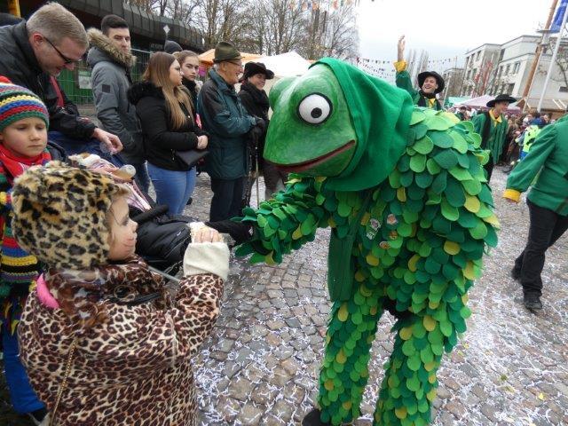 Bild 6: Teil 2: Bildergalerie zum Albbrucker Narrentreffen am 2. und 3. Februar 2019