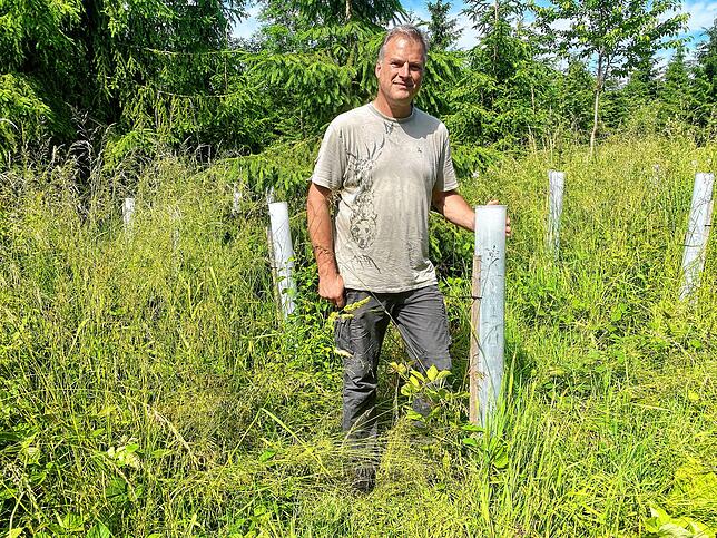 Der Donaueschinger Revierleiter Manfred Fünfgeld zeigt Stileichen in den Plastikröhren.