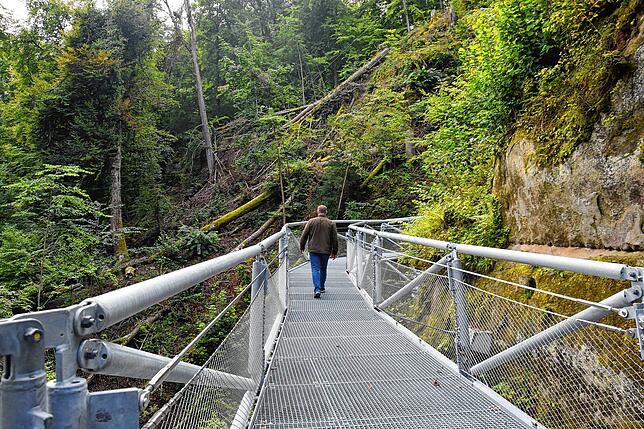 Der Steg führt an der Westseite der Marienschlucht entlang.
