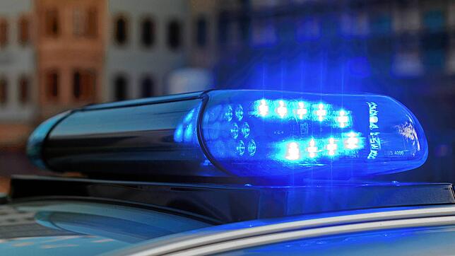 Die Polizei sorgte auf und um das Seenachtfest für Sicherheit (Symbolbild).