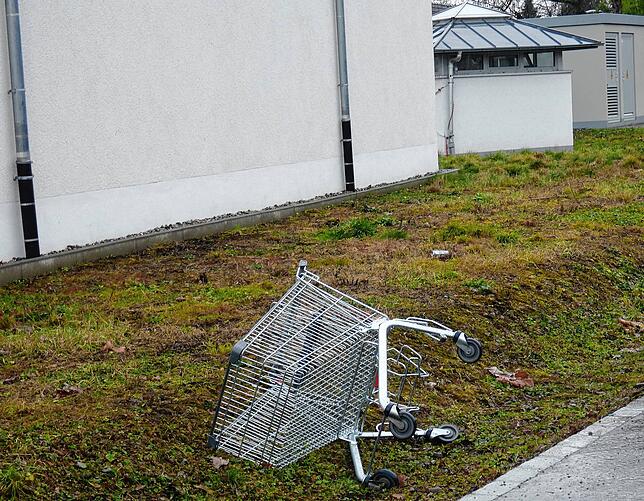 Ein einzelner Einkaufswagen, in der Wiese hinter der Aldi-Filiale in Jestetten.