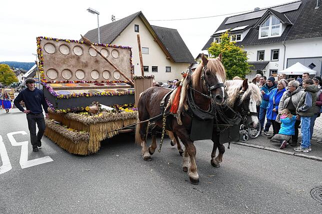 Bild 20: Kreiserntedankfest Brigachtal: Die schönsten Bilder vom Umzug – Teil 2