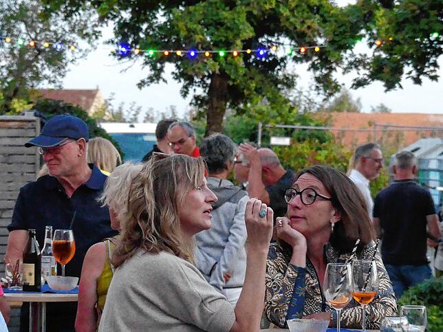Bild 7: Musik und Kino beim Open Air in Bermatingen