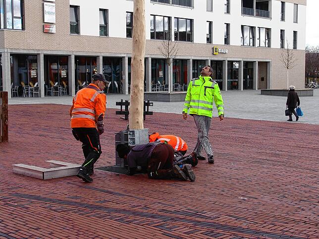 Bild 9: Auch ohne Rathaus-Sturm: Bauhof stellt ersten Narrenbaum in der neuen Neuen Mitte auf
