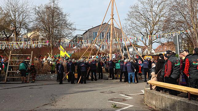 Bild 18: Seenarrentreffen in Dettingen: Auf dem Dorfplatz steht jetzt der Narrenbaum