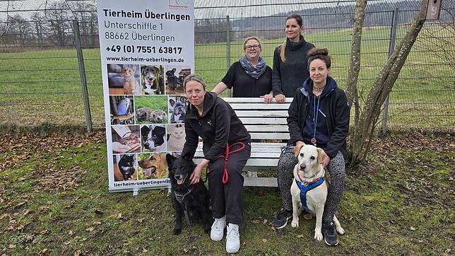 Sie sind Ansprechpartnerinnen im Tierheim Überlingen: Caroline Meer, Vorsitzende des Tierschutzvereins Überlingen (hinten links), und ...