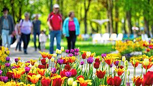 Mehr als 450.000 Menschen besuchten die Balinger Gartenschau.