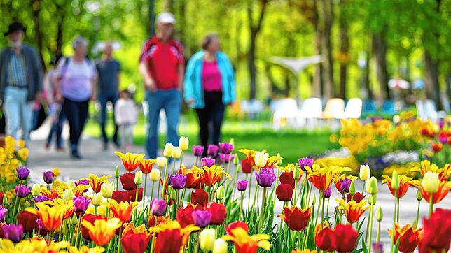 Mehr als 450.000 Menschen besuchten die Balinger Gartenschau.