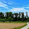Auf der Fläche am Waldrand (rechts vom Weg befindet sich der Camping- und Ferienpark Orsingen) soll der Naturkindergarten entstehen. Das ...