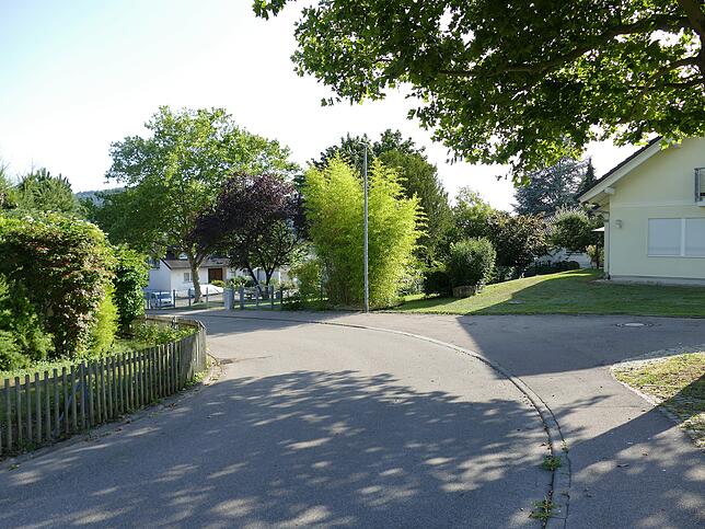 Heute gibt es in der Ringstraße keine Obstbäume mehr wie vor der Erschließung zum Neubaugebiet. Dafür haben die Hausbesitzer schön ...