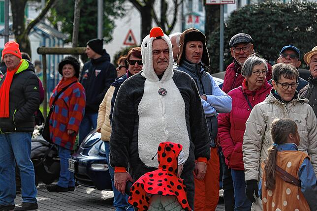 Bild 21: Bunter Gemeindeumzug in Uhldingen-Mühlhofen