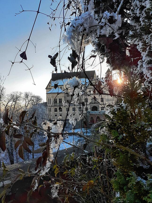 Bild 3: Ganz viel Sonnenschein an Silvester in Heiligenberg, hoch über dem Bodensee-Nebel