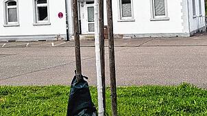 Vor dem Lauchringer Bahnhof hängt ein Bewässerungssack an einem Stützpfahl neben einem noch jungen Baum.