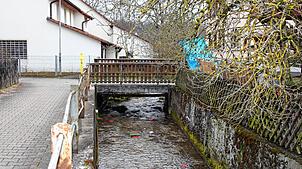 Die marode Fußgänger- und Radwegbrücke beim Anwesen Scheuch in Immendingen wird im Sommer durch einen Neubau ersetzt. Bild: Jutta Freudig