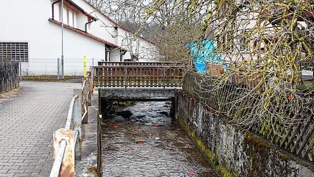 Die marode Fußgänger- und Radwegbrücke beim Anwesen Scheuch in Immendingen wird im Sommer durch einen Neubau ersetzt. Bild: Jutta Freudig
