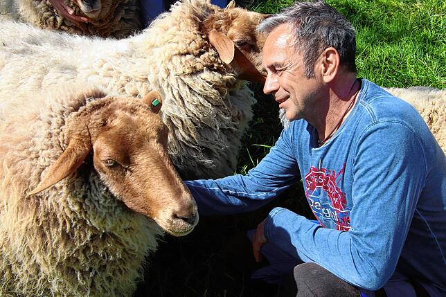 Mit seinen Schafen bricht Hardy Buck täglich zu Spaziergängen auf.