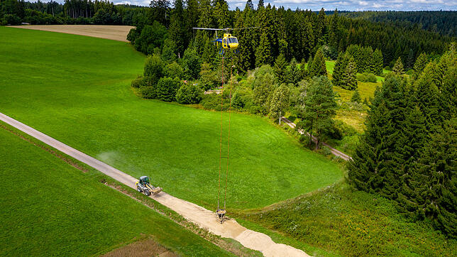 Der Stadtwald, hier bei Volkertsweiler, droht zum Verlustgeschäft für die Stadt zu werden. Bild: Hans-Jürgen Götz
