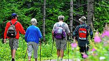 Unvergessliche Wanderabenteuer in Baden-Württemberg.