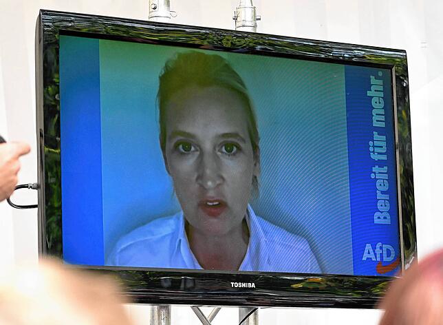 Alice Weidel, AfD-Bundesvorsitzende, in einer Videobotschaft bei einer Wahlkampf-Veranstaltung Mödlareuth, das zu Bayern und Thüringen ...