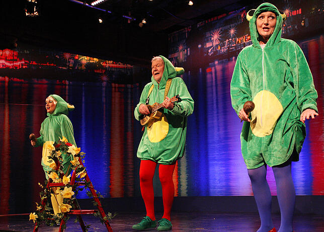 Bild 29: Die Akteure und Besucher der Konstanzer Fernsehfasnacht in 30 bunten Bildern