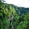 Die Wutachschlucht ist eine beliebte Wanderregion, bekannt für ihre wilde und naturbelassene Landschaft.