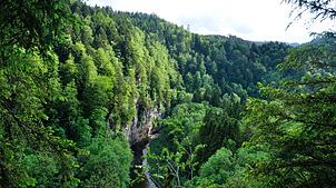 Die Wutachschlucht ist eine beliebte Wanderregion, bekannt für ihre wilde und naturbelassene Landschaft.