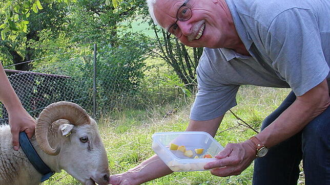 Äpfel für den Chilbi-Bock: Klaus Danner hatte beim Besuch seines Gewinns in Gaiss extra klein geschnittene Äpfel mit dabei. Links: Timon ...