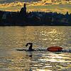 Schwimmen vor traumhafter Kulisse: Die Teilnehmer genießen den See und die Aussicht. Die größte Herausforderung im Wasser ist nicht die ...