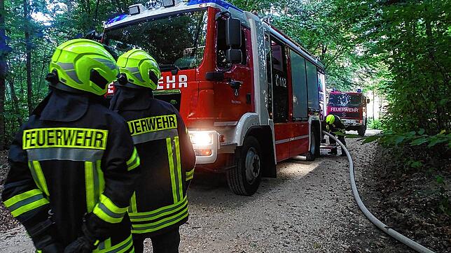Morgendlicher Feuerwehreinsatz im Wald nördlich des ZfP Reichenau.