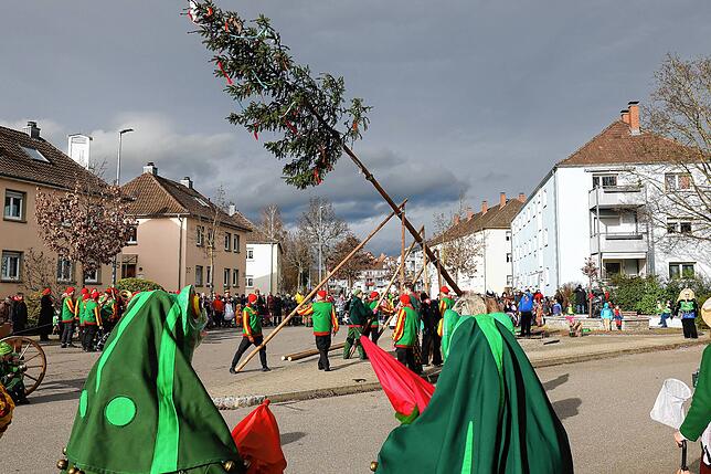 Narrenbaumstellen, Radolfzell