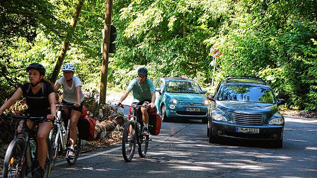 Immer schön den Radfahrern hinterher: So verhält sich der Autofahrer auf weiten Abschnitten der Radstraße zum Hörnle vorbildlich. Doch ...