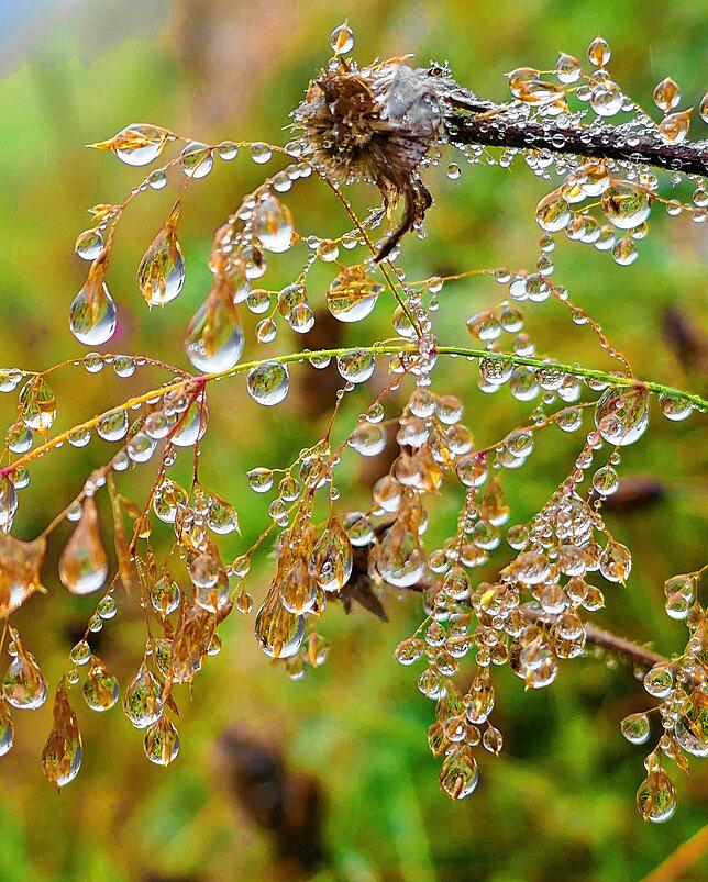 Dieses herbstliche Stillleben entstand in Lottstetten/Balm.