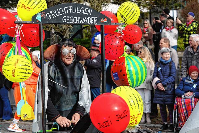 Bild 10: Fastnacht auf dem Schienerberg: Tausende feiern den Höriumzug mit kreativen Mottos