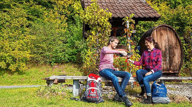 In Gailingen wird auf rund 25 Hektar Rebfläche Wein angebaut.