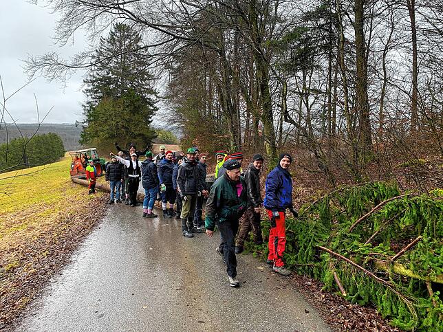30 Männer ziehen in Mauenheim in den Wald, um den Narrenbaum zu holen.