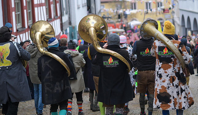 Bild 25: Tausende Hästräger und Musiker in Pfullendorf: Bilder vom Umzug (3)