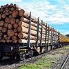 Auf der Strecke der Meßkircher Ablachtalbahn fuhr ein erster Holztransport ab Krauchenwies. Ein privater Spediteur will die Strecke ...
