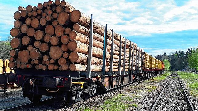Auf der Strecke der Meßkircher Ablachtalbahn fuhr ein erster Holztransport ab Krauchenwies. Ein privater Spediteur will die Strecke ...