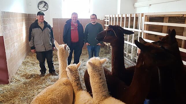 Drei Generationen auf einem Hof: Karlheinz, Harald und Simon Kiefer (von links) leben gemeinsam mit Alpakas, Kühen und Hühnern auf dem ...