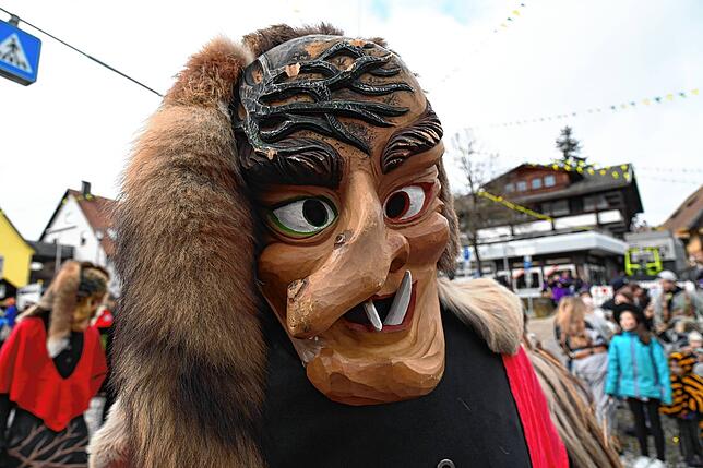 Bild 2: Bilder vom Umzug am Fasnetsonntag in Tennenbronn