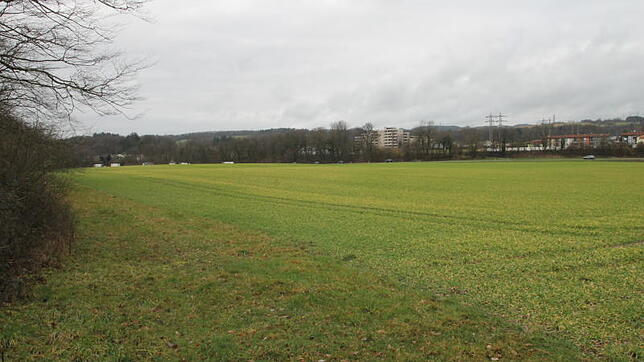 Ein Standort für das neue Spital? Die großen Flächen südlich der B&nbsp;34, teils landwirtschaftlich genutzt, teils aber auch brach ...