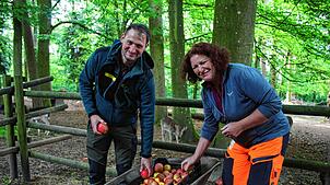 Partick Zaglauer und Andrea Riedmann beim Füttern des Damwilds. Auf dem Speiseplan stehen neben Heu und Gras und Kräutern auch Getreide, ...