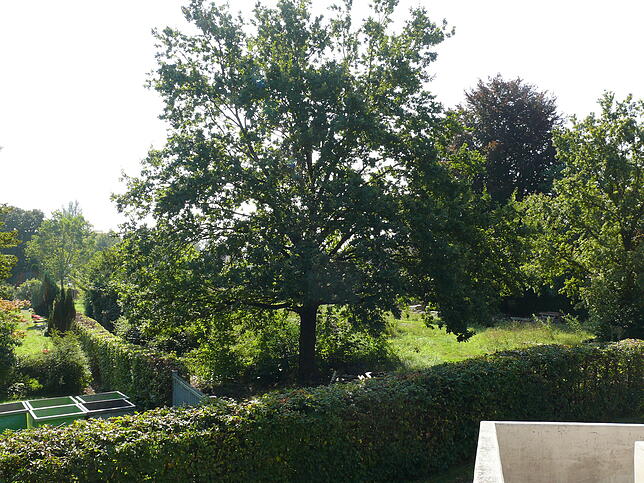 Blick von der Friedhofskapelle aus auf das Grundstück, das bebaut werden soll