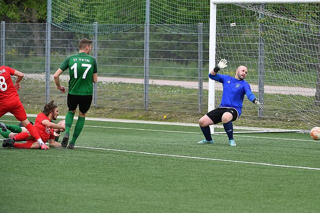 Bild 7: FC Tiengen 08 siegt souverän mit 3:0 beim SV Herten &ndash; und wir haben Bilder!