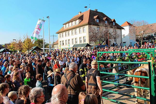 Riesenspektakel in Birkendorf: Das traditionelle Hagehole. Unser Archivbild zeigt eine Szene aus dem Jahr 2018.