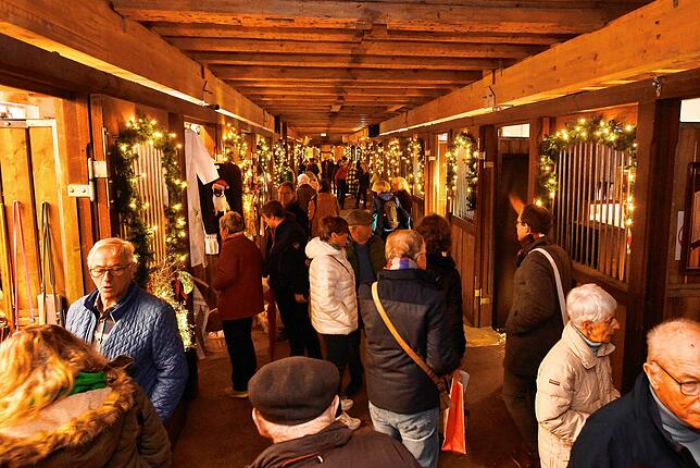 Bild 5: Stimmungsvolle Fürstenberg-Weihnachtswelt im Donaueschinger Marstall