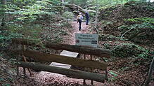Ein Naturerlebnis: Die Marienschlucht (hier ein Archivfoto) soll für die Öffentlichkeit wieder zugänglich gemacht werden. Der ...