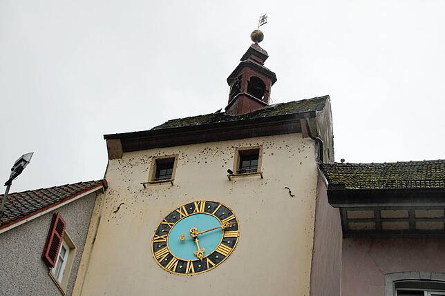 Tauben haben am Unteren Tor ihre Spuren hinterlassen und vor allem im Glockenturm für Schäden gesorgt.