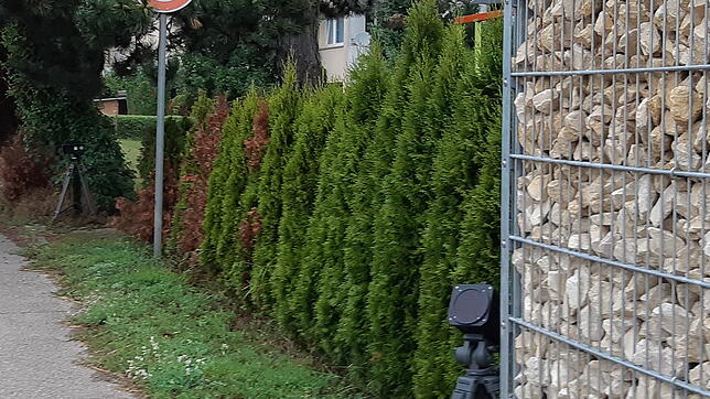 Künftig nimmt die Stadt Waldshut-Tiengen Temposünder mit zwei mobilen Messgeräten ins Visier.